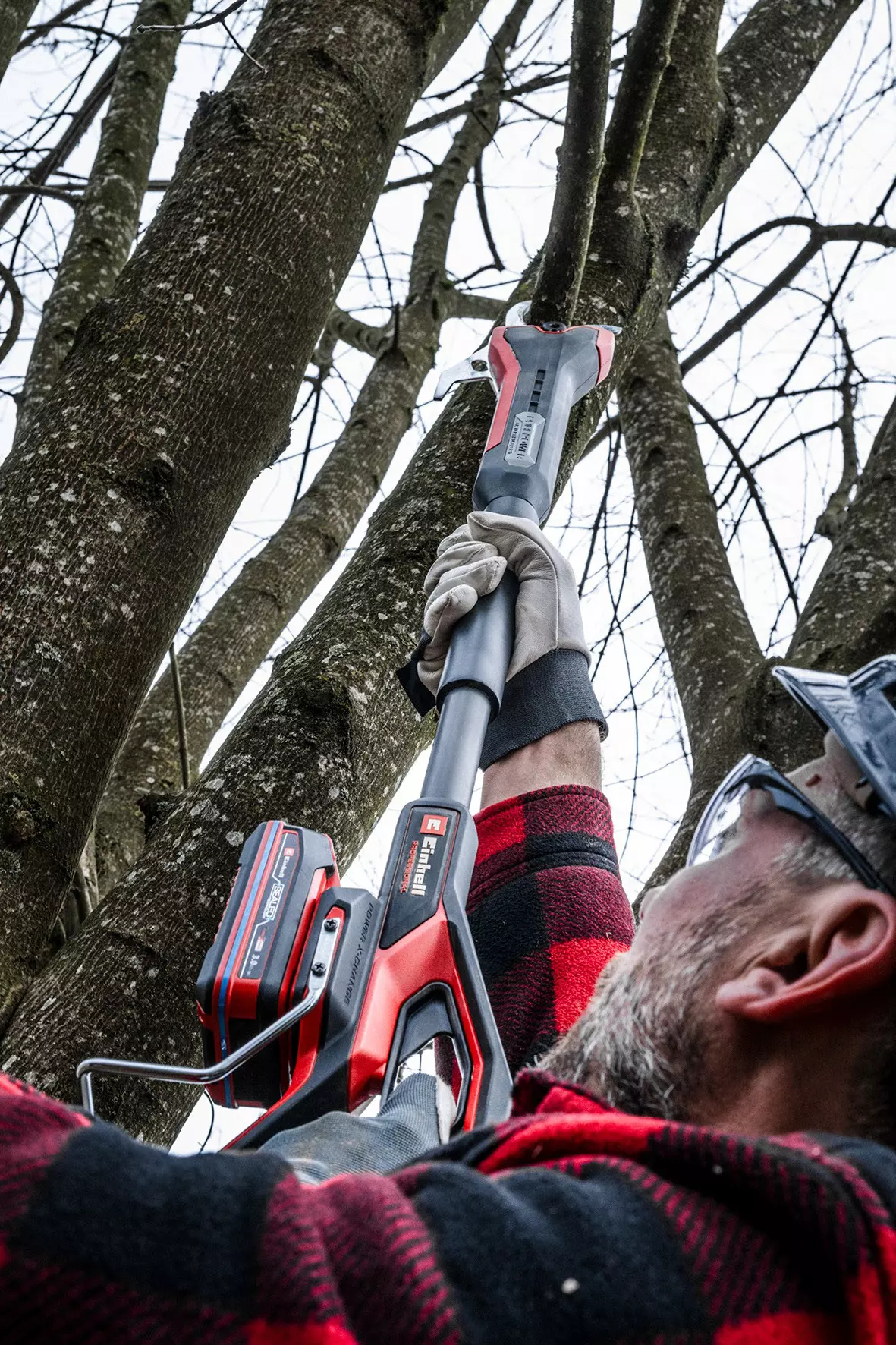 einhell-professional-cordless-pruning-shears-3408360-example_usage-001