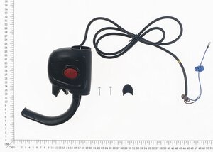 Schalter-/Steckerkombination