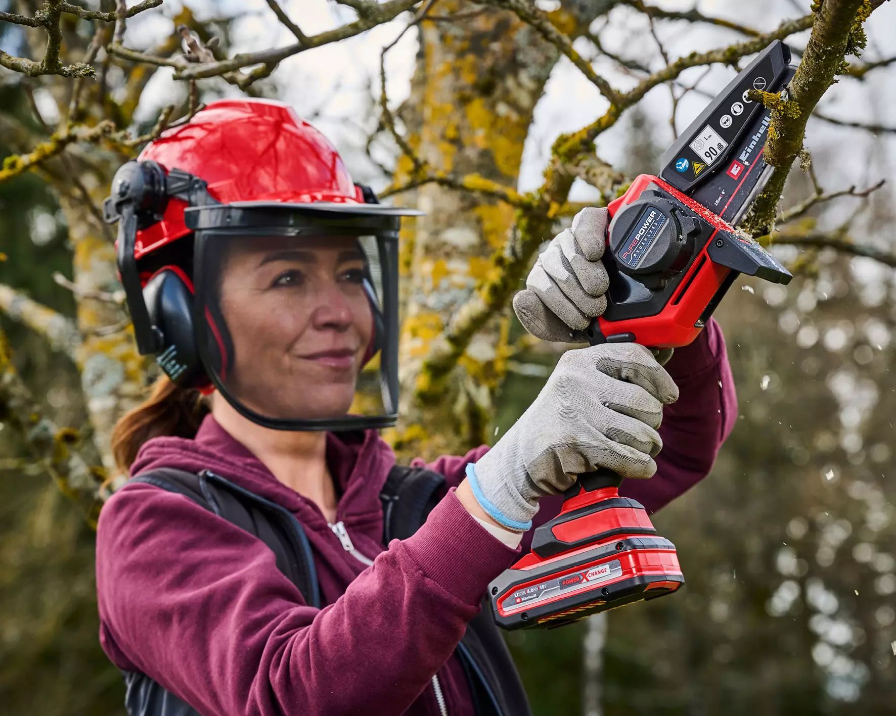 einhell-expert-garden-tool-kit-4600036-example_usage-001