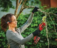 einhell-expert-cordless-pruning-saw-3408290-example_usage-001