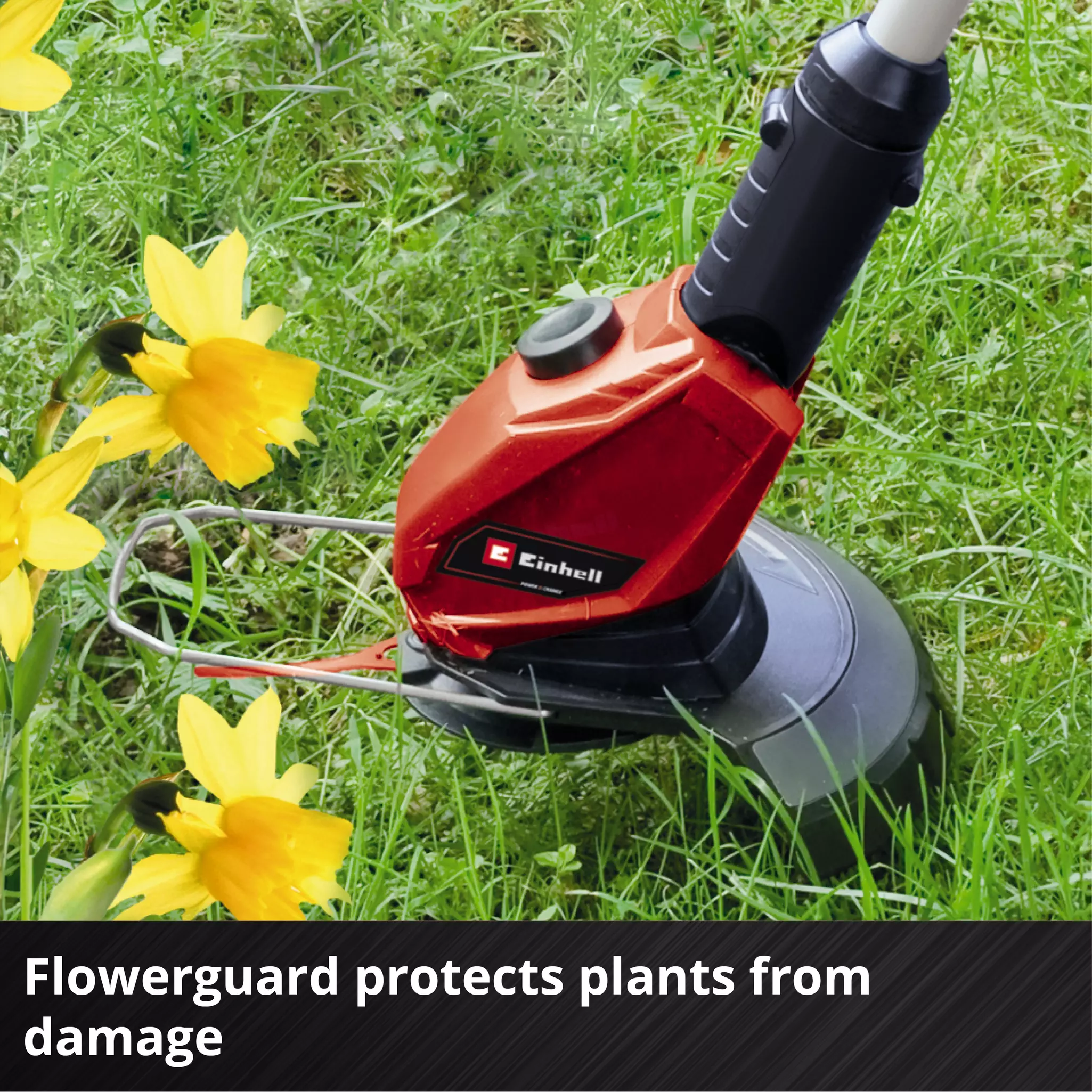 einhell-expert-cordless-lawn-trimmer-3411219-detail_image-006