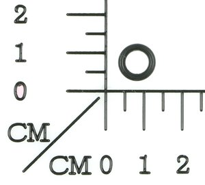 O-ring