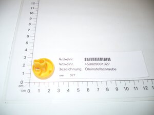 Öleinstellschraube