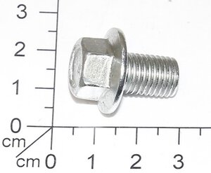 Bolt M10X1.25X15