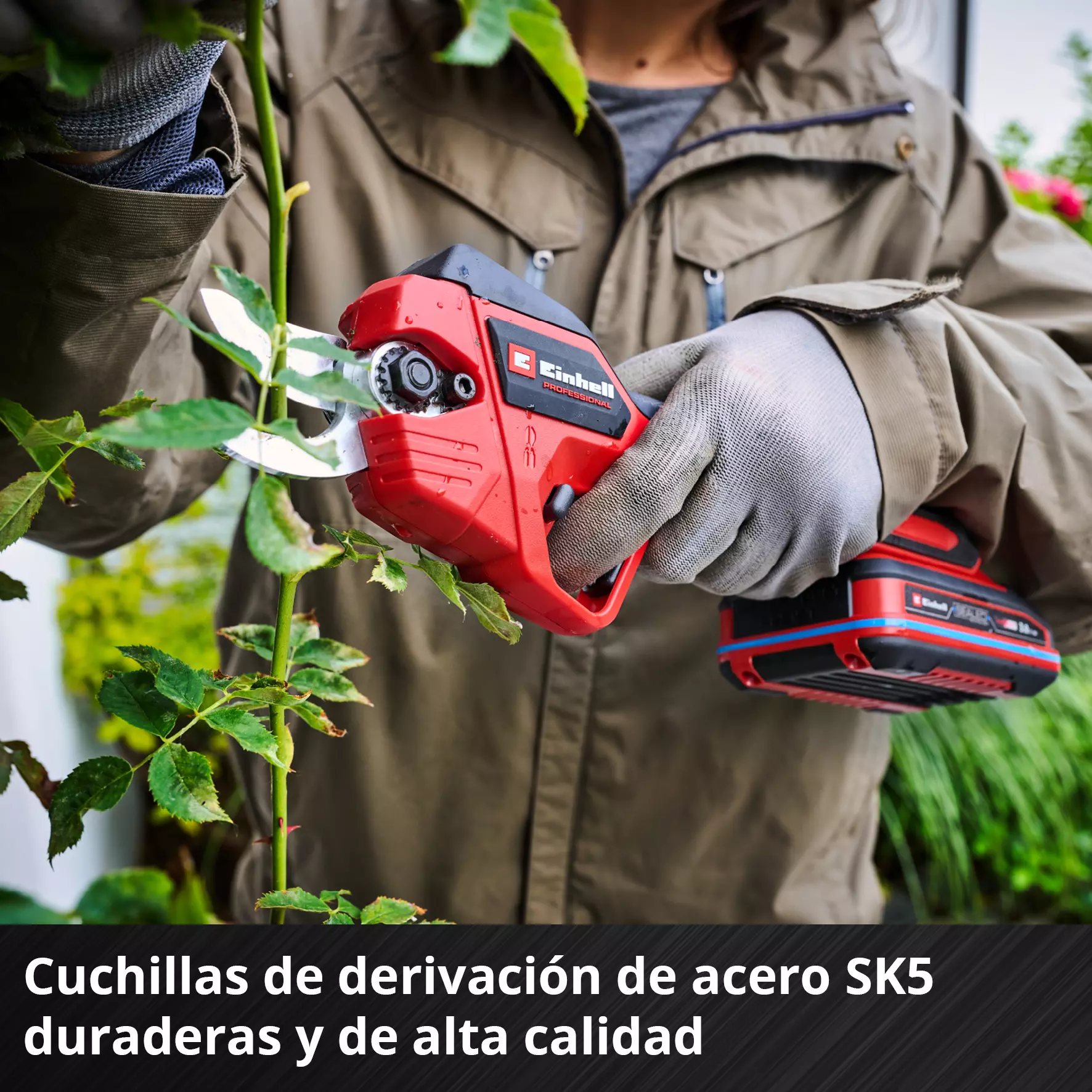 einhell-professional-cordless-pruning-shears-3408320-detail_image-004