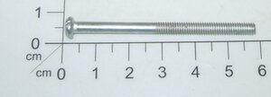 Screw