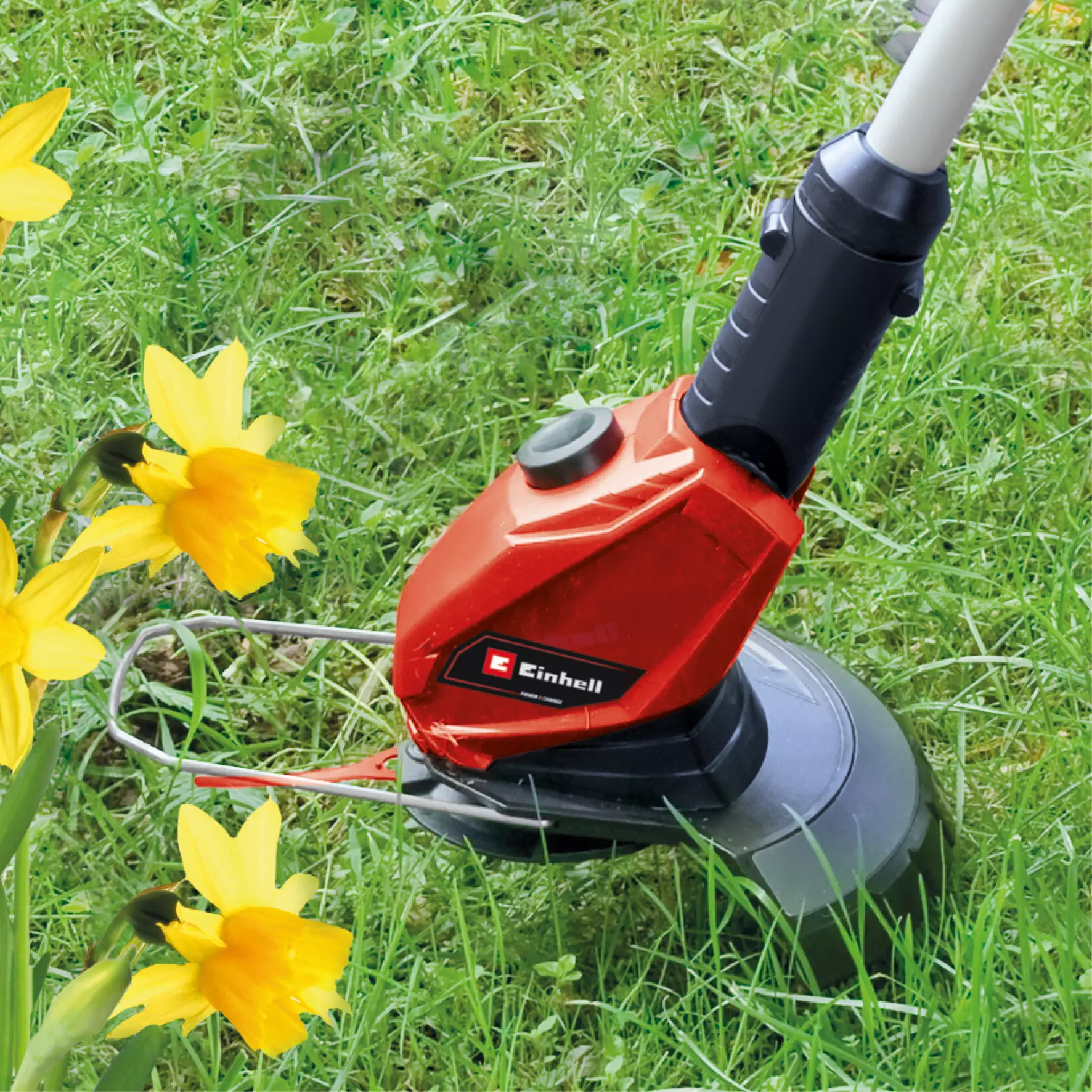 einhell-expert-cordless-lawn-trimmer-3411197-detail_image-004