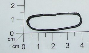 seal ring