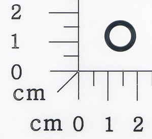 o-ring