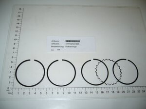 Kolbenringe