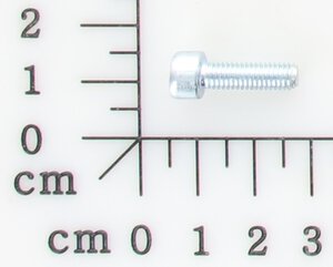 Screw