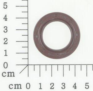 Radialwellendichtring