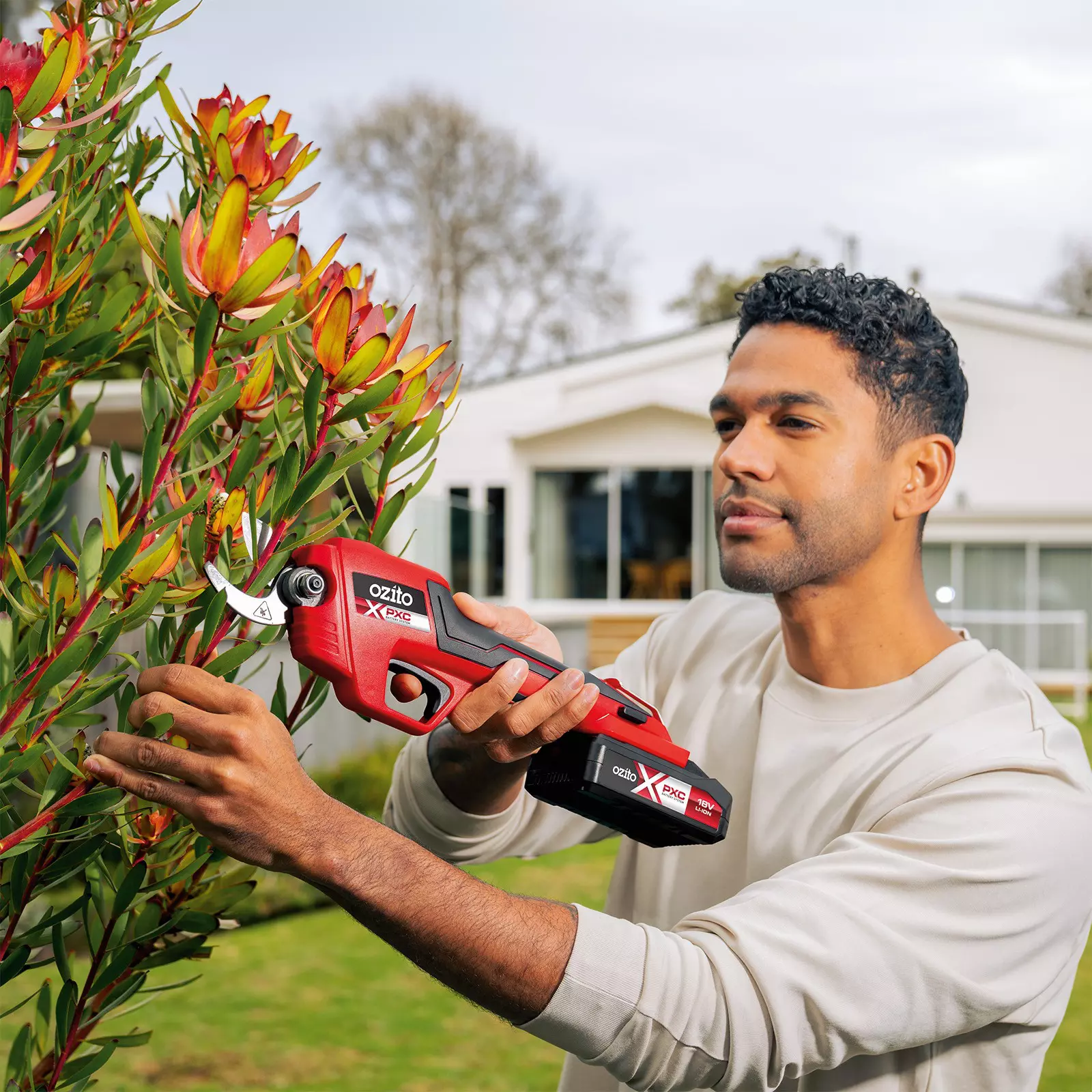 ozito-garden-tool-kit-3001317-example_usage-102