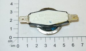 Thermowächter