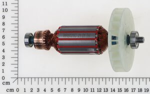 Rotor with fan assembly