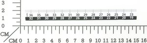 scale