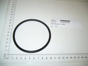 O-Ring