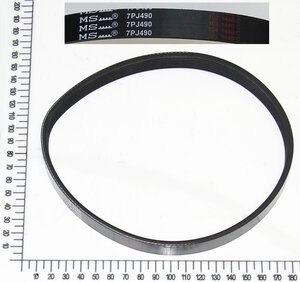 Belt(7PJ490)