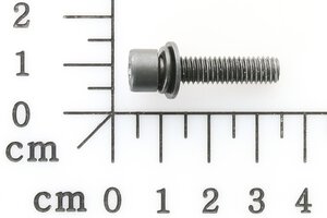 sems screw M6 x 25