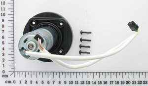 Rear Wheel Motor Assembly