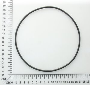 o-ring