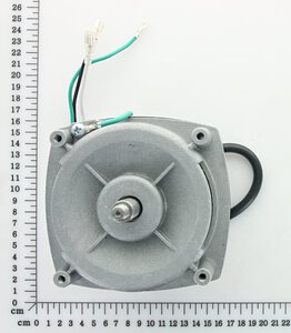 motor (BR) 127V