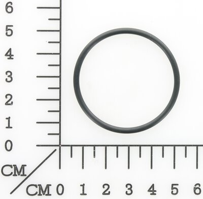 O-Ring