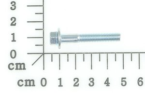 screw M6 x 35