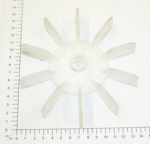 fan  