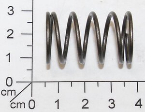 piston spring
