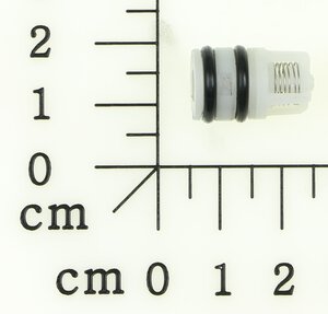 Water inlet valve assembly