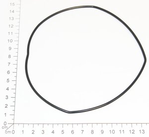 O-ring