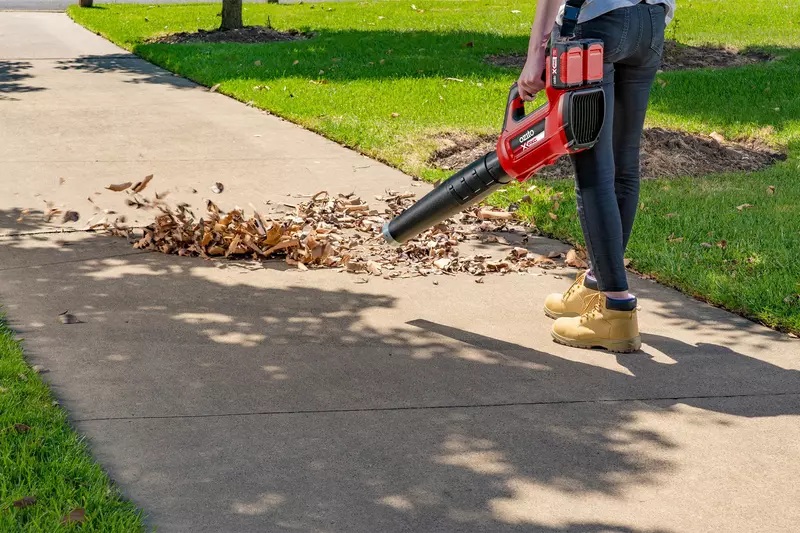 PXJBS 0182 Cordless Leaf Blower