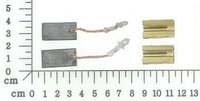 Carbon brush Assembly