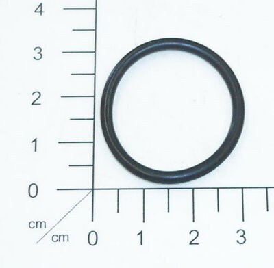 O-Ring