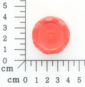 drain screw