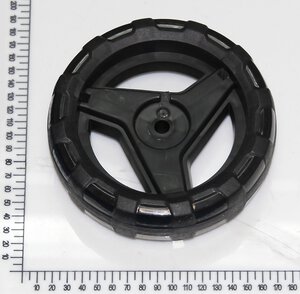 ruota anteriore