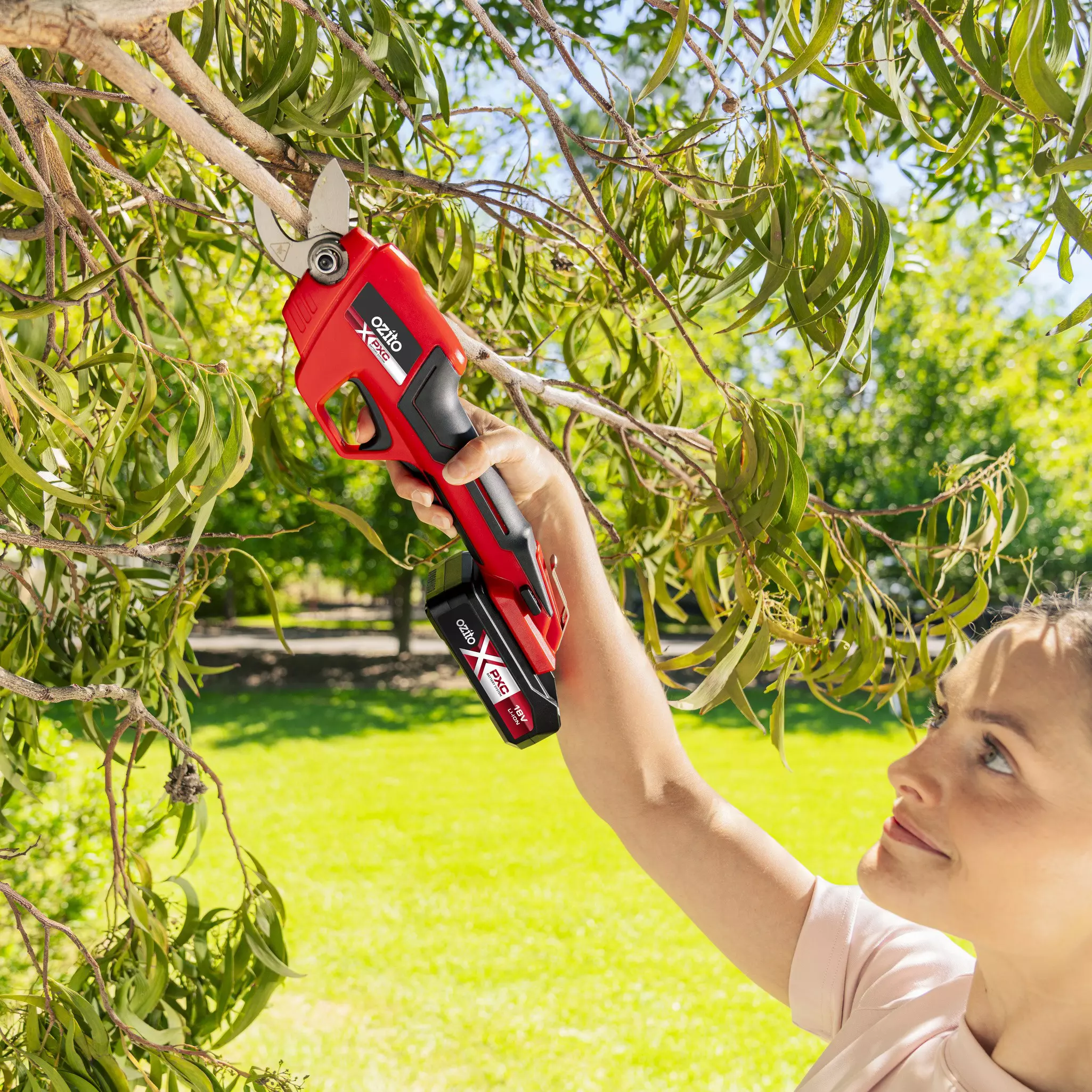 ozito-cordless-pruning-shears-3000793-example_usage-101
