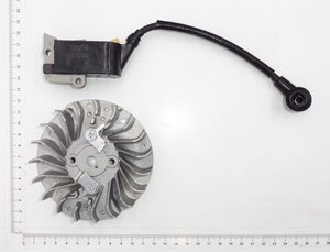 ignition with flywheel assembl