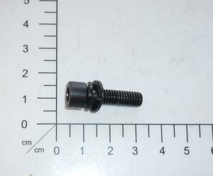 Schraube mit Unterlegscheibe