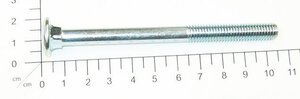 Cup Square Neck Bolt