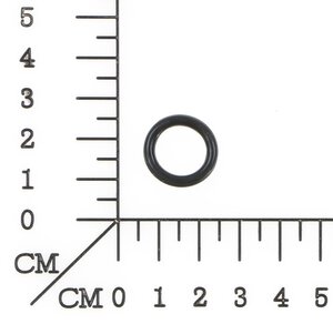Dichtring