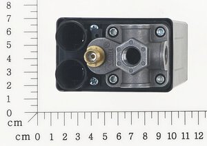 pressure switch with nut and