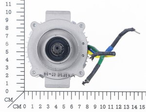 Brushless Motor Assembly