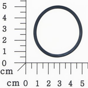 O-ring