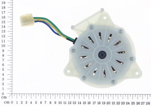 Motor