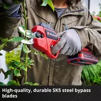 einhell-professional-cordless-pruning-shears-3408320-detail_image-004