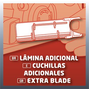 TE-PL 82; EX; ARG