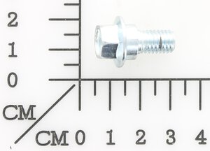 bolt