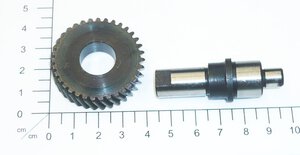 Spindel mit Zahnrad